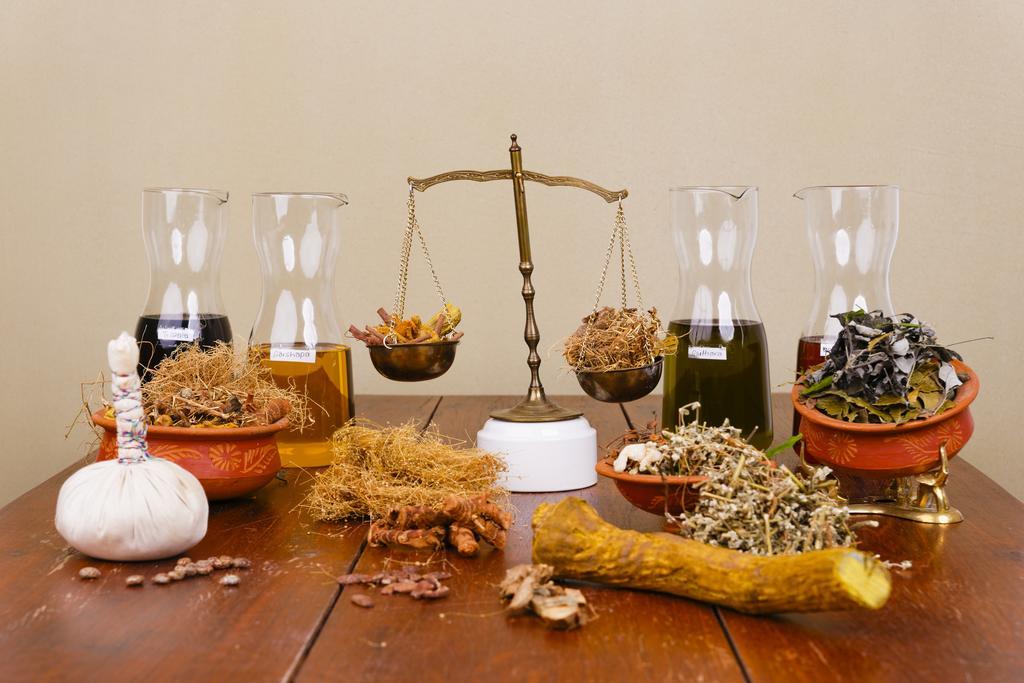 Sathya Ayurveda Hotel Бад Орб Екстериор снимка